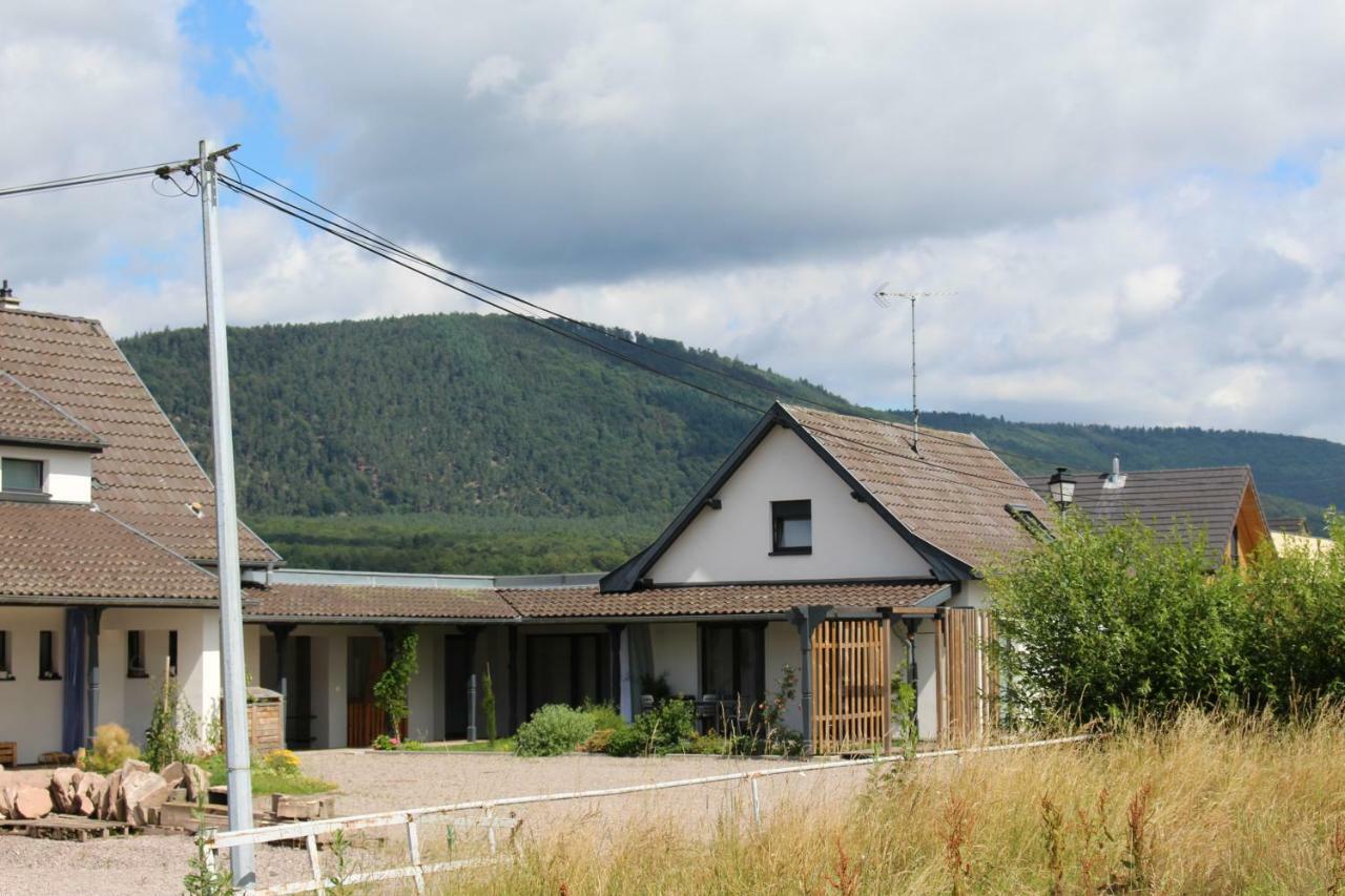 Villa Le Clos du Haslach à Niederhaslach Extérieur photo